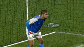 世界门将的脚法,守门员任意球大师