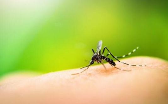 牛仔褪色？美白牙齿？毛衣缩水发霉？这些小技巧聪明女人都收藏了