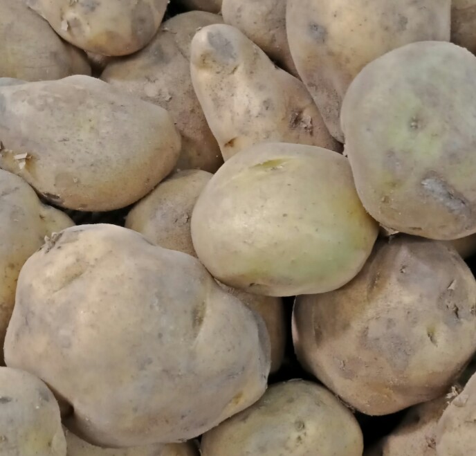 绿色无公害的蔬菜排行,绿色无公害蔬菜说说