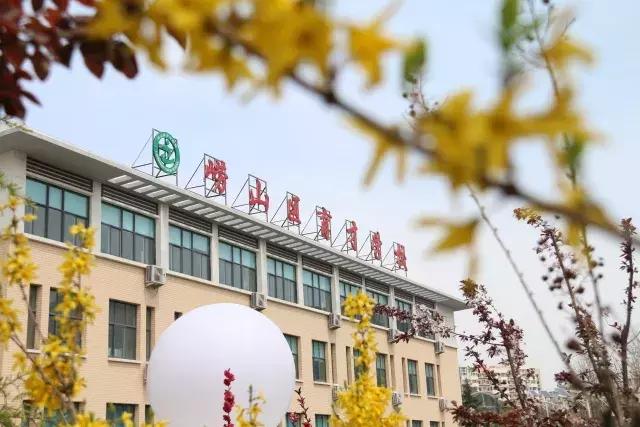 崂山育才校长崔仁波,崂山区育才学校校长