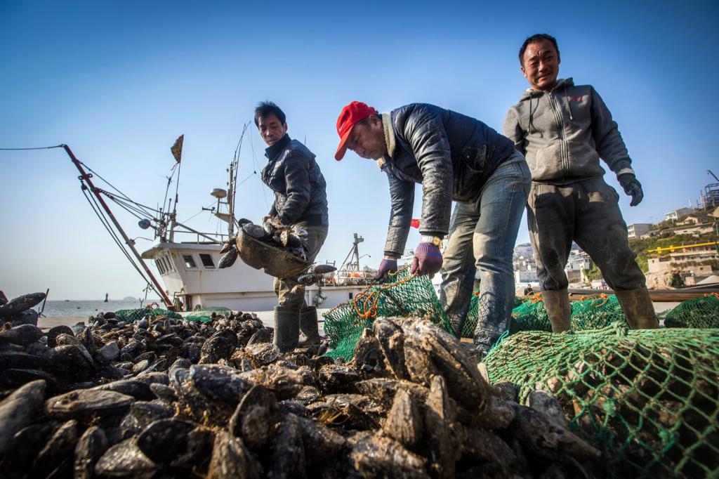 现在的东极岛,你知道凌晨四点的样子吗原视频