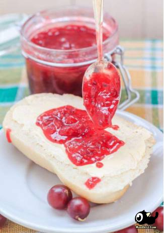 猫小然:进来教你用果渣也能制作减肥神器酵素果酱!