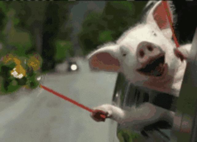 南昌买房须知的18个常识,楼市年终回顾