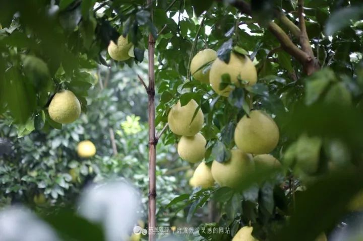 2018年你要如何过,2018你想做什么