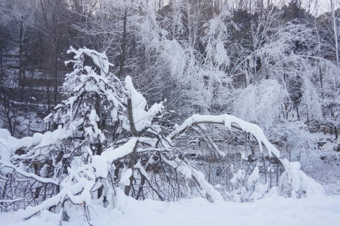 中原区有雪吗,中原雪乡在哪里