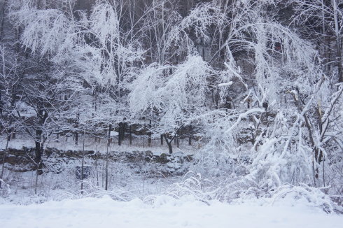 中原区有雪吗,中原雪乡在哪里