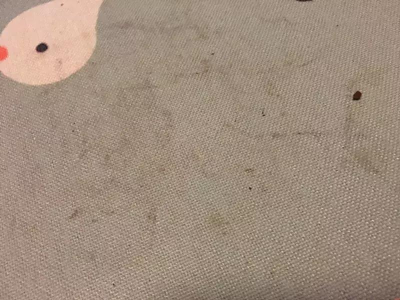 网红美食脏脏包到底是什么,脏脏包网红食物测评