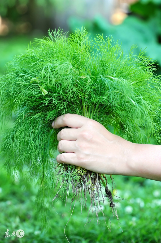 摸摸口袋，看看钱包，依然，空空如也，唯一得到的财富——回忆