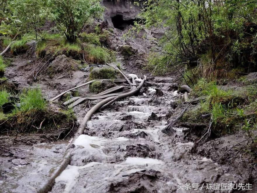 象牙禁令前收藏的象牙,哪一年开始禁象牙