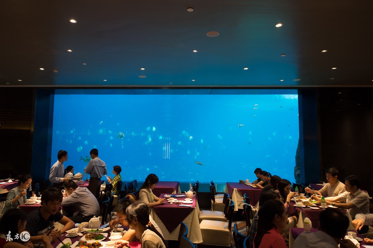 泉州去珠海长隆海洋王国的攻略,珠海长隆海洋王国游玩攻略情侣