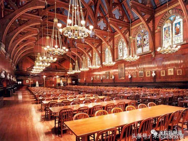 上海国际学校排行榜2023,海南上海世外国际学校