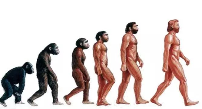 土气怎么变有气质,为什么有些人看起来就土气