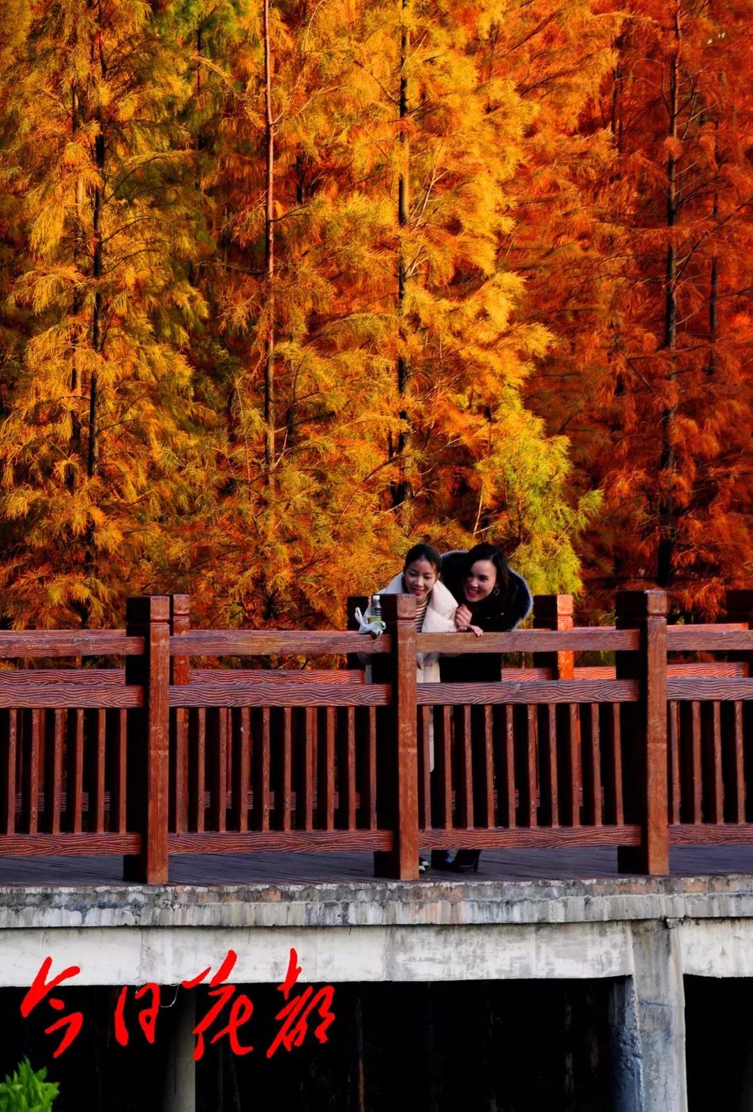 花都芙蓉嶂旅游景点,花都芙蓉嶂夜景