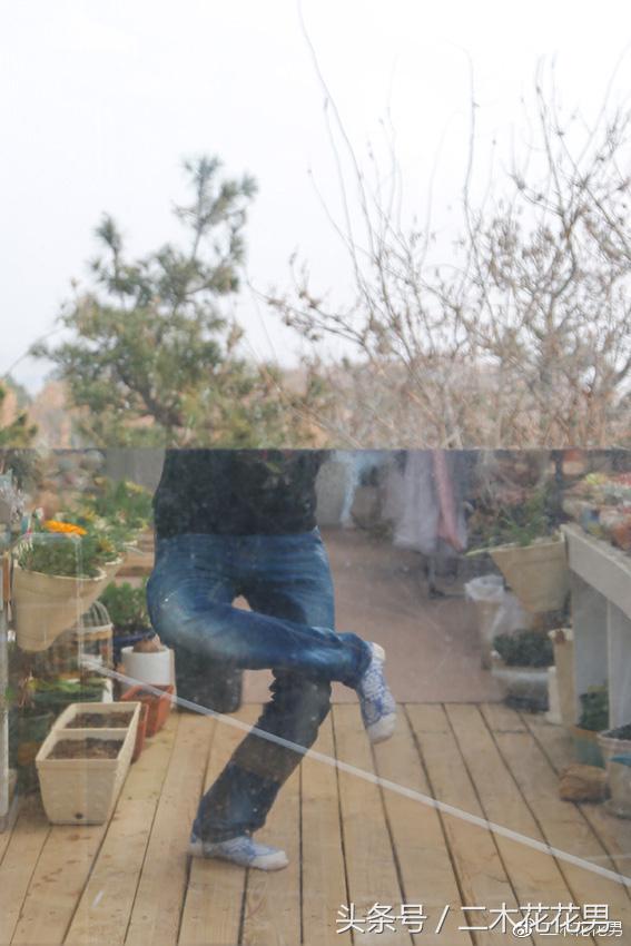 阳光房建设,怎样建造阳光房