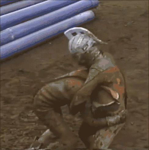 摔跤动漫排行榜,有关摔跤的动漫