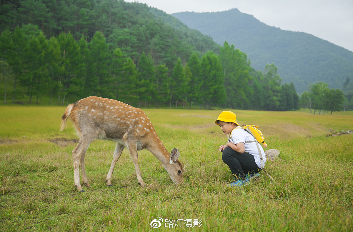 把喜欢的事做到极致诗句,能把喜欢的事做好