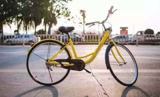 新的一年,蔡甸这些东西统统免费!不知道你就亏大了!