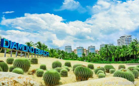 127亿！深耕一年跻身前五，不忘初心筑梦海南