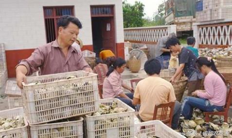 农产品供应链怎么找销售渠道,农产品渠道销售好做吗