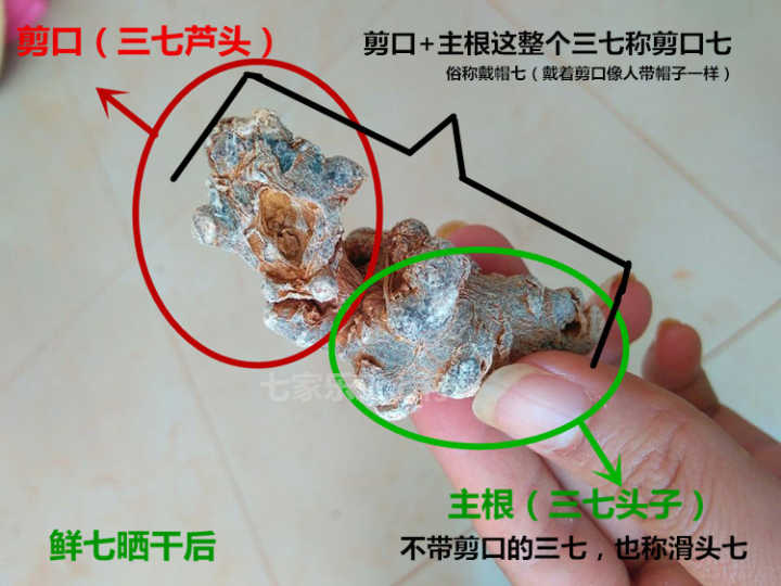 在网上买三七怎么选,在网上买三七注意事项