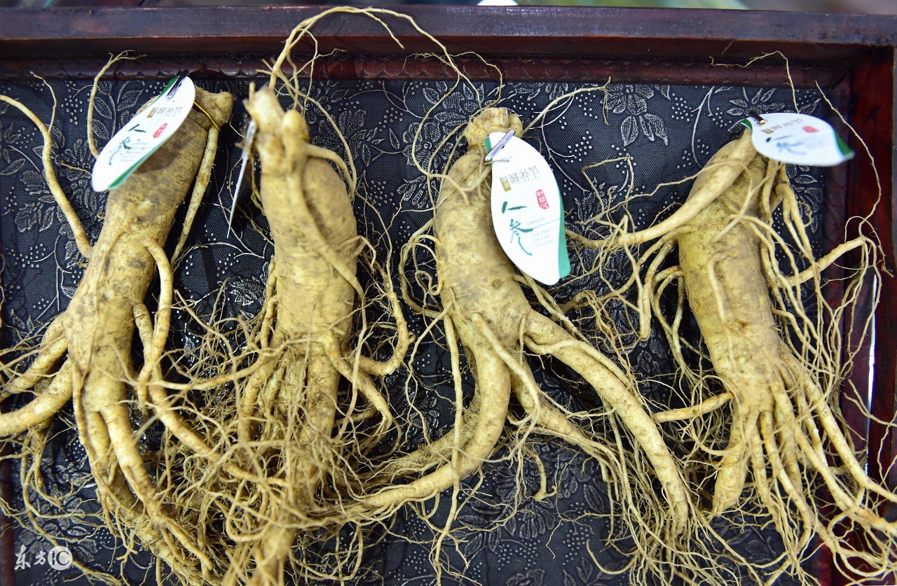 人参5形六体是什么意思,五型体质辨别口诀