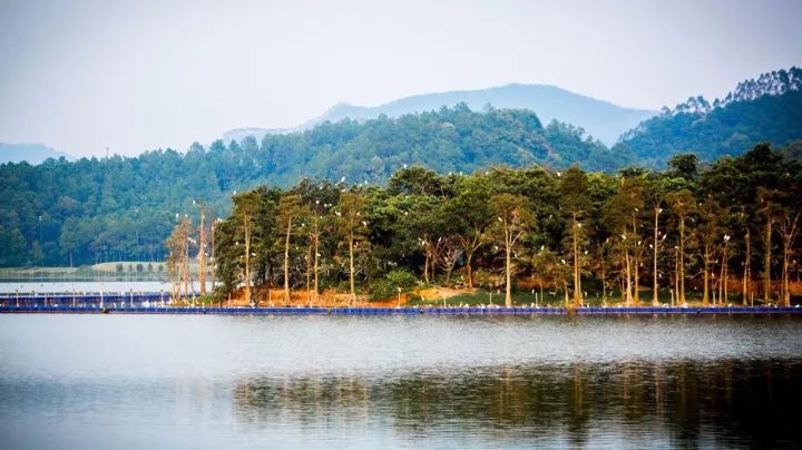 世界首创“船上温泉”，白鹭齐飞，逛法国风情小镇，深圳2.5h即到