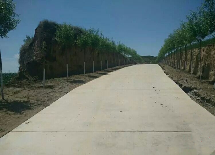 搴勬氮鍘块槼宸濋晣棰嗗鐝瓙,搴勬氮鍘块槼宸濋晣鍏氬涔﹁鏄皝