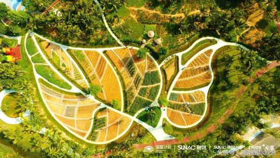 127亿！深耕一年跻身前五，不忘初心筑梦海南