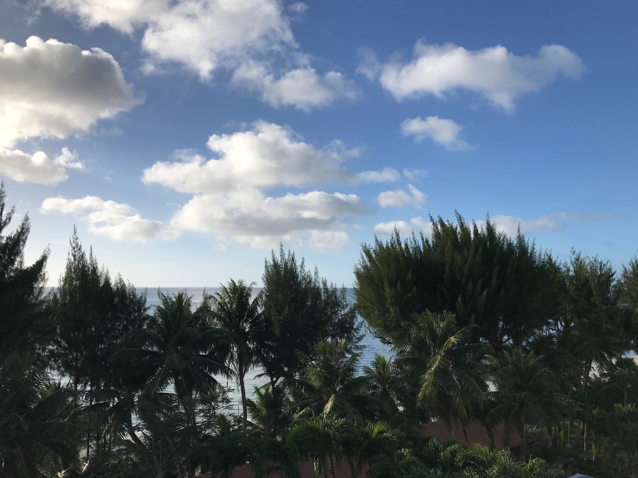 上午在广州捂白过严冬，下午在塞班岛放肆晒黑