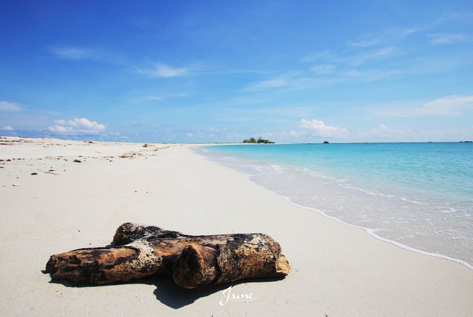 【一只熊的冒险】薄荷色夏日梦，马来西亚沙巴亚庇仙本那历险记——敦沙卡兰海洋公园（完）