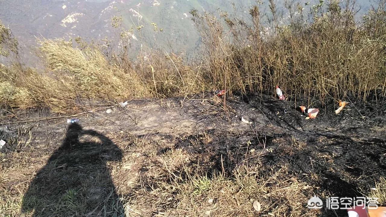 珠海市凤凰山旅游景区游玩攻略,珠海凤鸣谷风景区怎么样