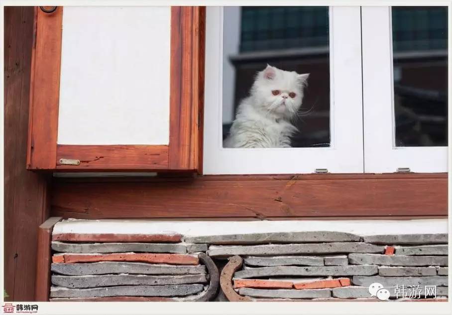 一个人首尔旅行,从首尔到釜山