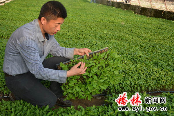 大学生创业项目推荐小本生意,大学生互联网创业新点子100个