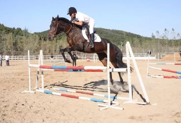 沈阳草原骑马去哪个地方好,离沈阳最近的草原骑马自驾游
