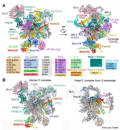 施一公生物学家演讲,施一公science完整版