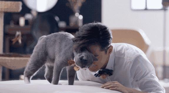 妙手仁心救我狗命锦旗,妙手仁心宠物医院