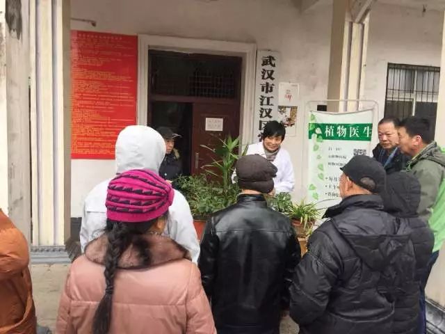 冻坏的花草还能救回来,冻伤的花草是否生长缓慢