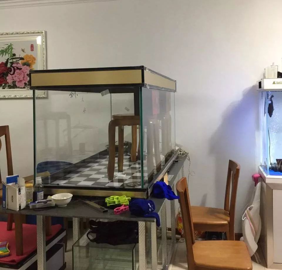 历时4个月，亲手做的缸终于运行！