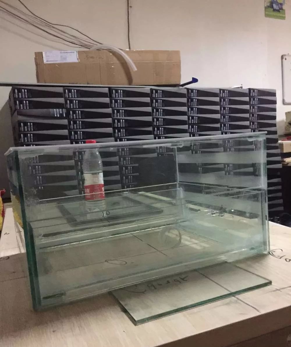 历时4个月，亲手做的缸终于运行！