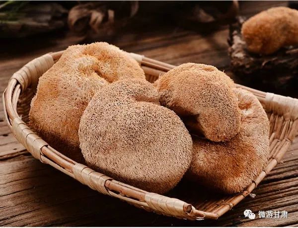 康县的猴头菇,陇南康县特产香菇干