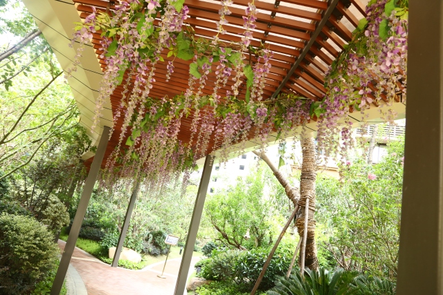 佳兆业君汇上品为什么便宜,关于佳兆业君汇上品