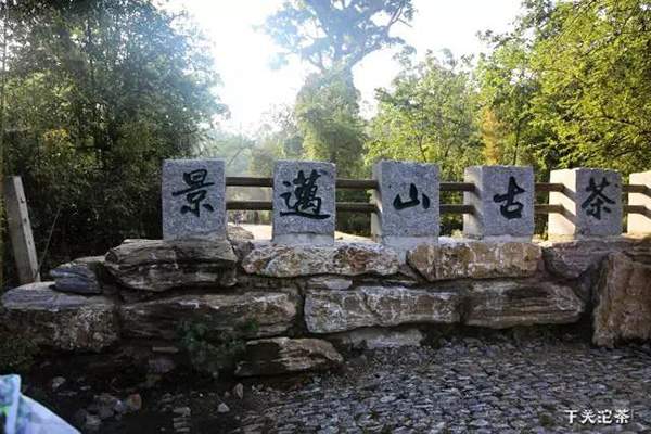 下关2017景迈古树熟茶好喝吗,下关景迈古树饼茶