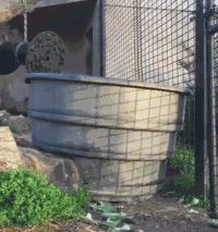 囧吐槽：看自己女朋友*裤内**怎么了