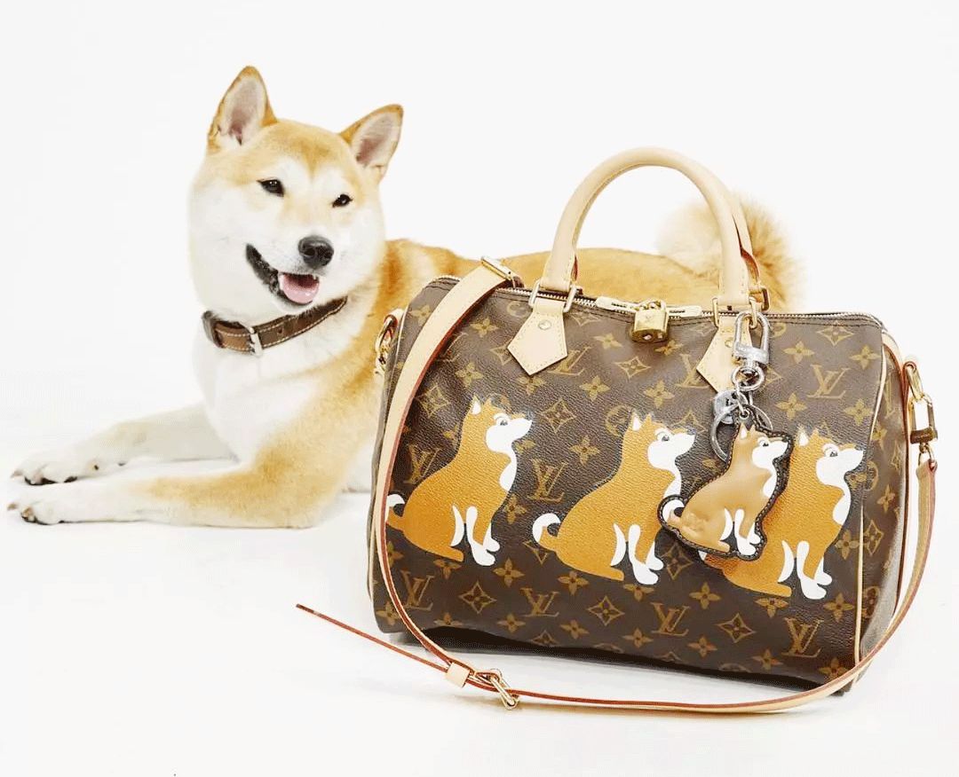 去年没放过鸡，今年这些品牌又开始虐狗了