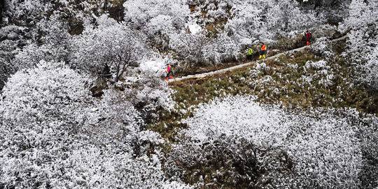 走雅康高速去康定不经过折多山吗,雅康高速喇叭河实时路况