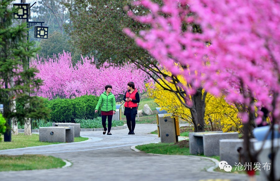 城在林中人在景中,城在园中人在景中