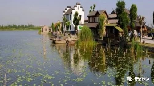 17号线东方绿舟报站,17号线东方绿舟上海