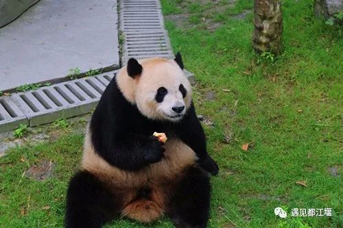 送福利元旦活动来一波,元旦送福利来啦