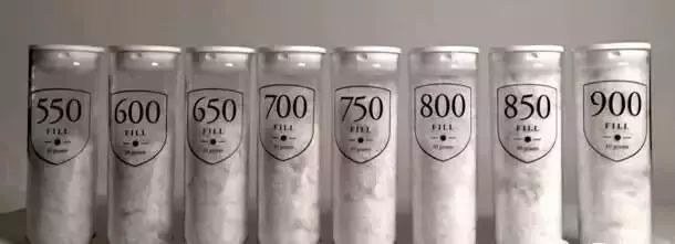 鎶勮鐨勬渶楂樺鐣屾湁澶氶珮,canadagoose