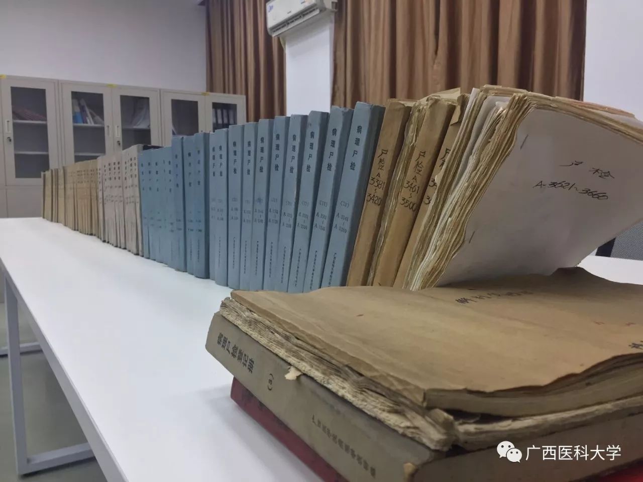 法医学专业有地域性吗,法医学历史简介